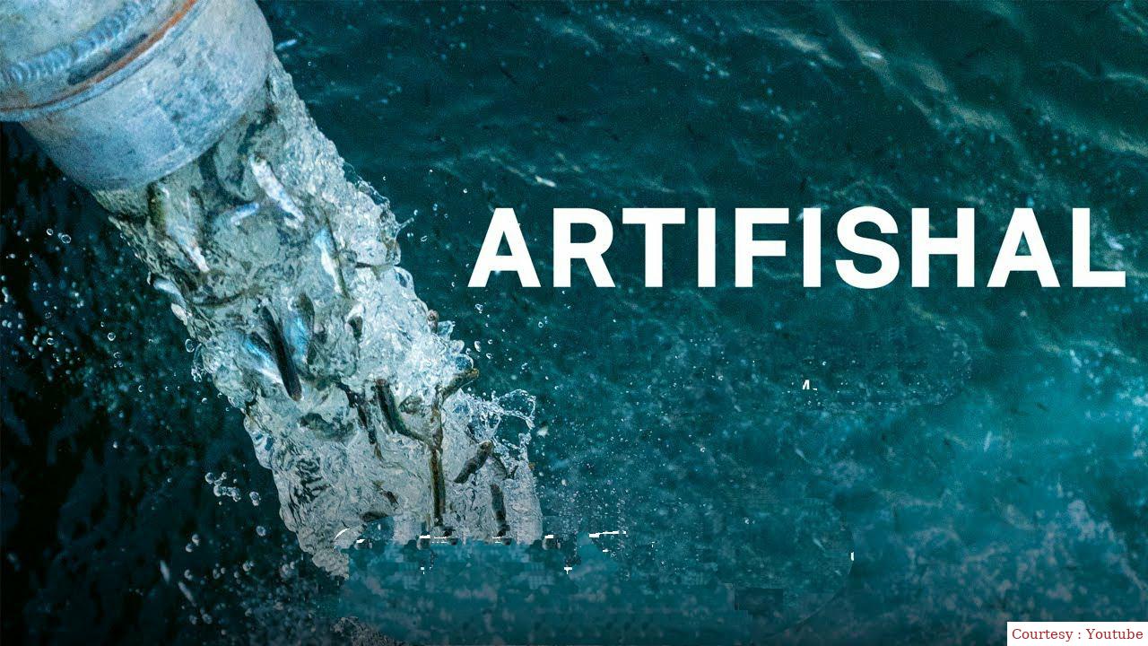Watch Free  Artifishal Full Movie Online