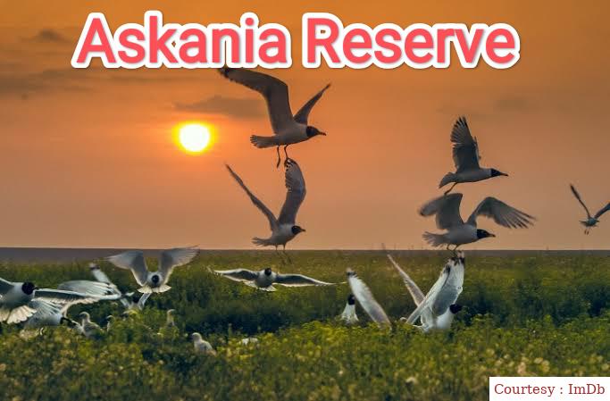 Askania Reserve 