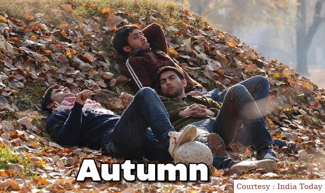 Watch Free  Autumn Full Movie Online