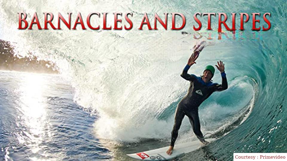 Barnacles and Stripes