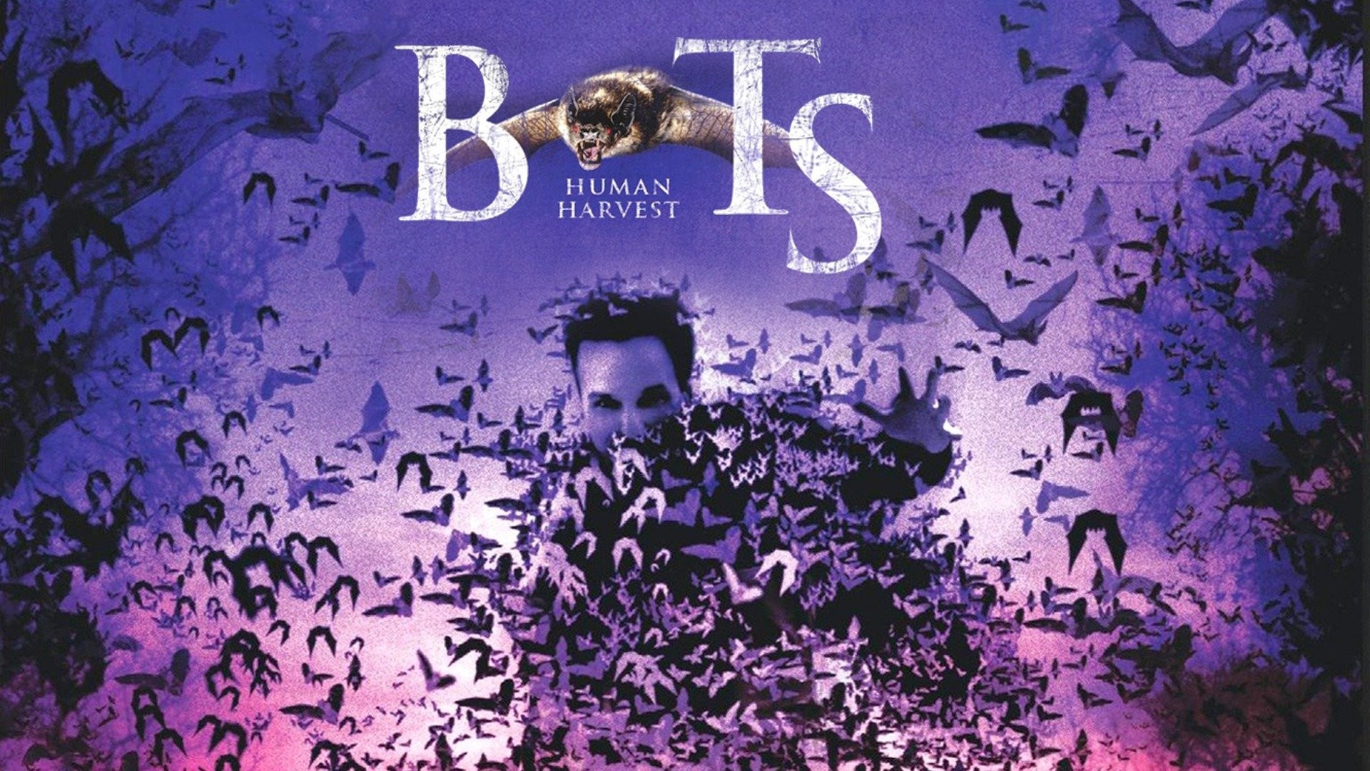 Bats: Human Harvest