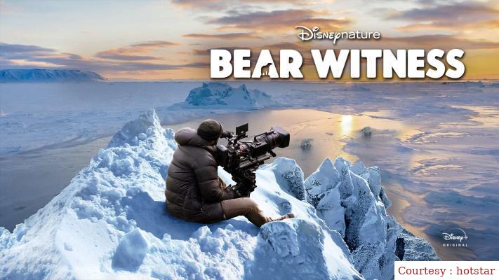 Bear Witness