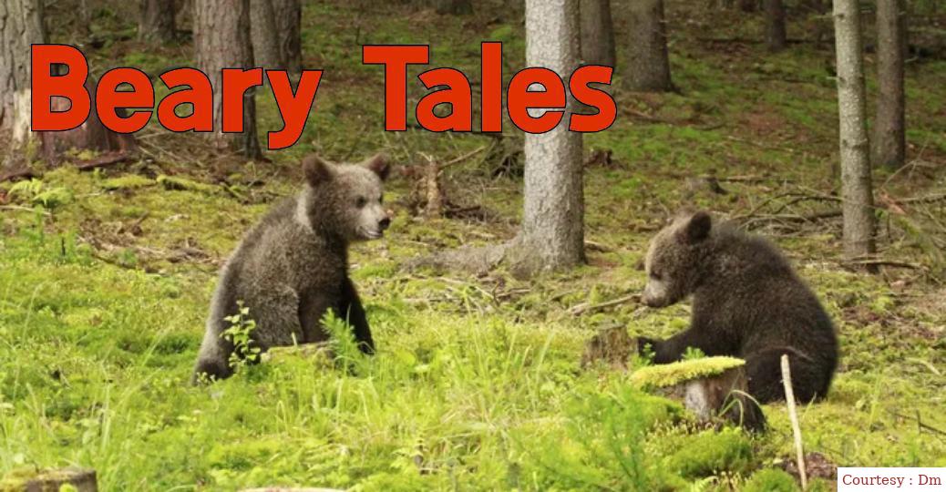 Watch Free  Beary Tales Full Movie Online