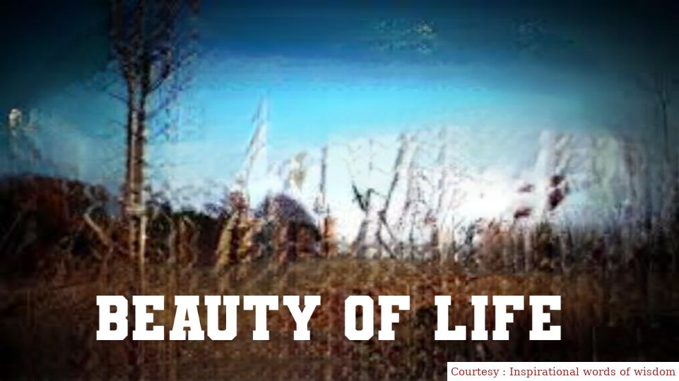 Beauty of Life