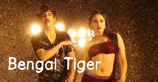 Bengal Tiger 
