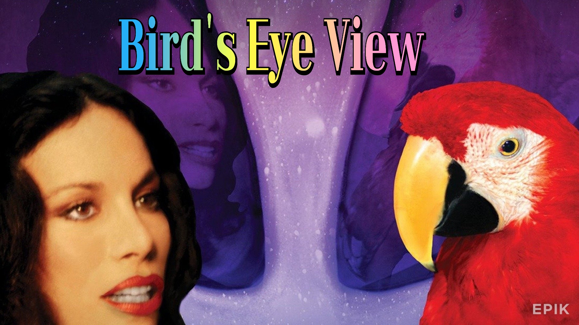 Watch Free Bird's Eye View Full Movie Online