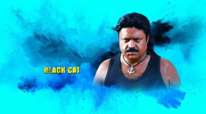 Black Cat