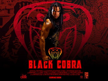 Black Cobra