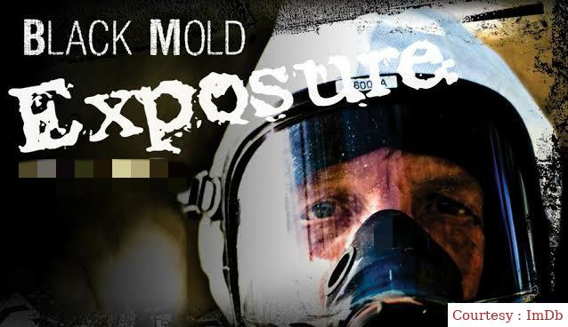Black Mold Exposure