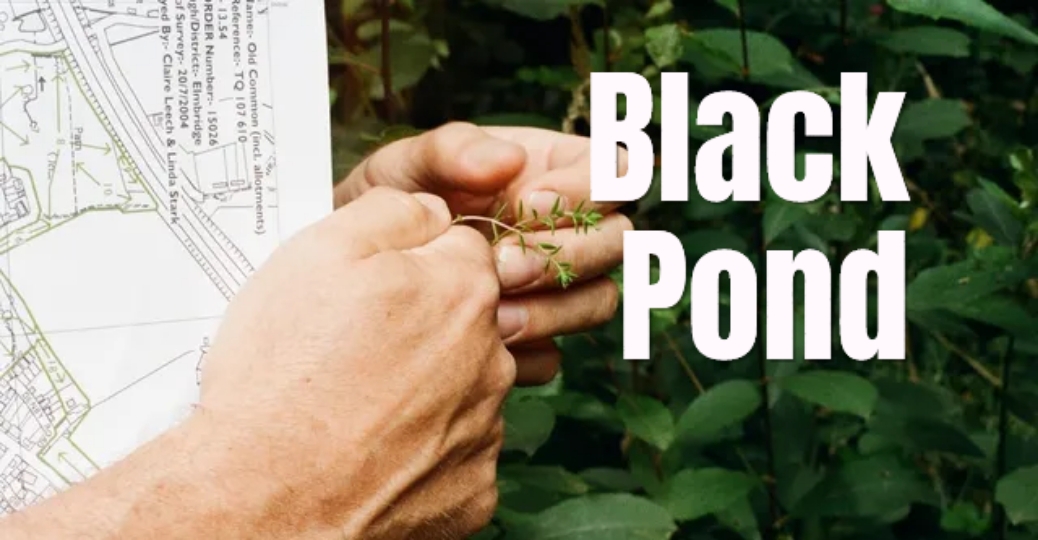 Watch Free  Black Pond Full Movie Online