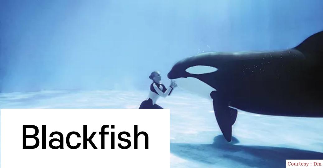 Watch Free  Blackfish Full Movie Online
