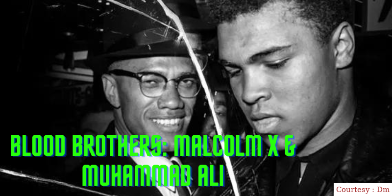 Blood Brothers: Malcolm X & Muhammad Ali