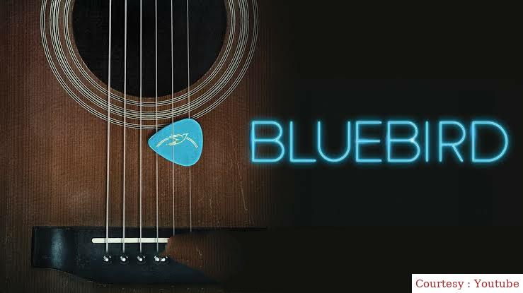 Bluebird