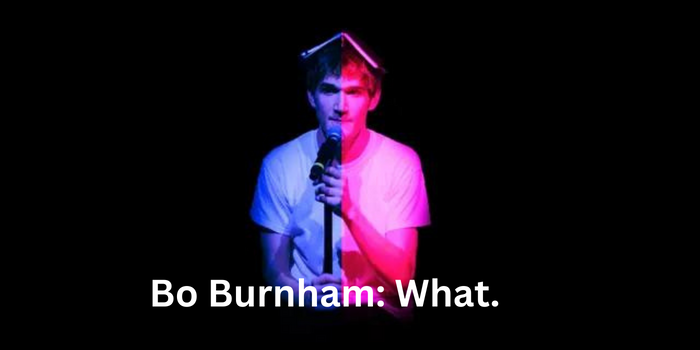 Bo Burnham: What.