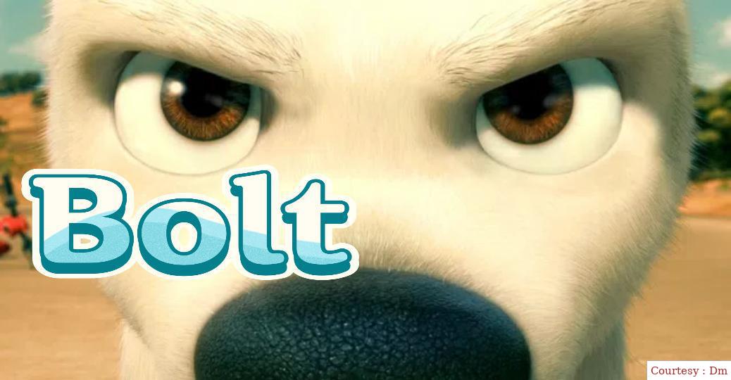 Bolt
