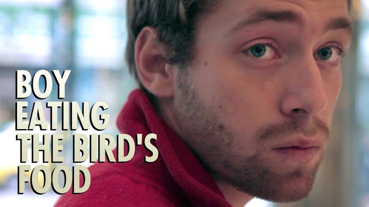 Boy Eating the Bird's Food