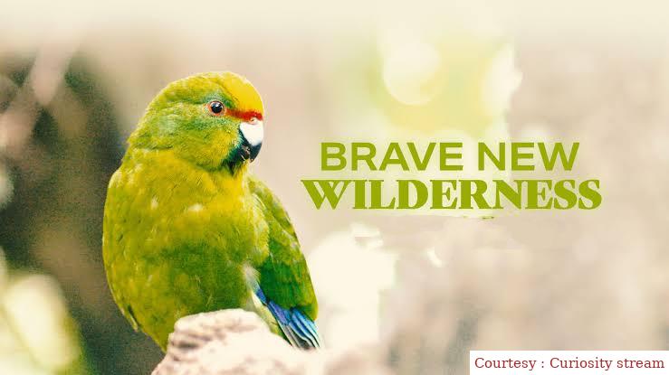 Watch Free  Brave New Wilderness Full Movie Online