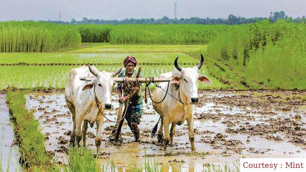 Brazil and India ministers will discuss food security in November.