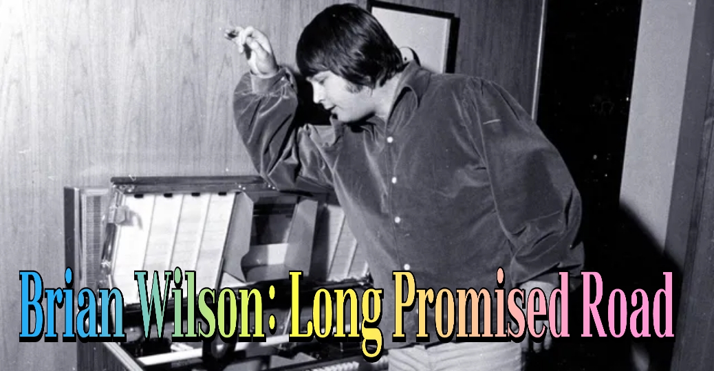 Brian Wilson: Long Promised Road