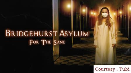 Bridgehurst Asylum for the Sane