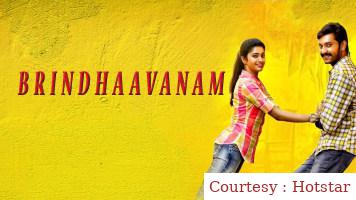 Watch Free  Brindavanam Full Movie Online