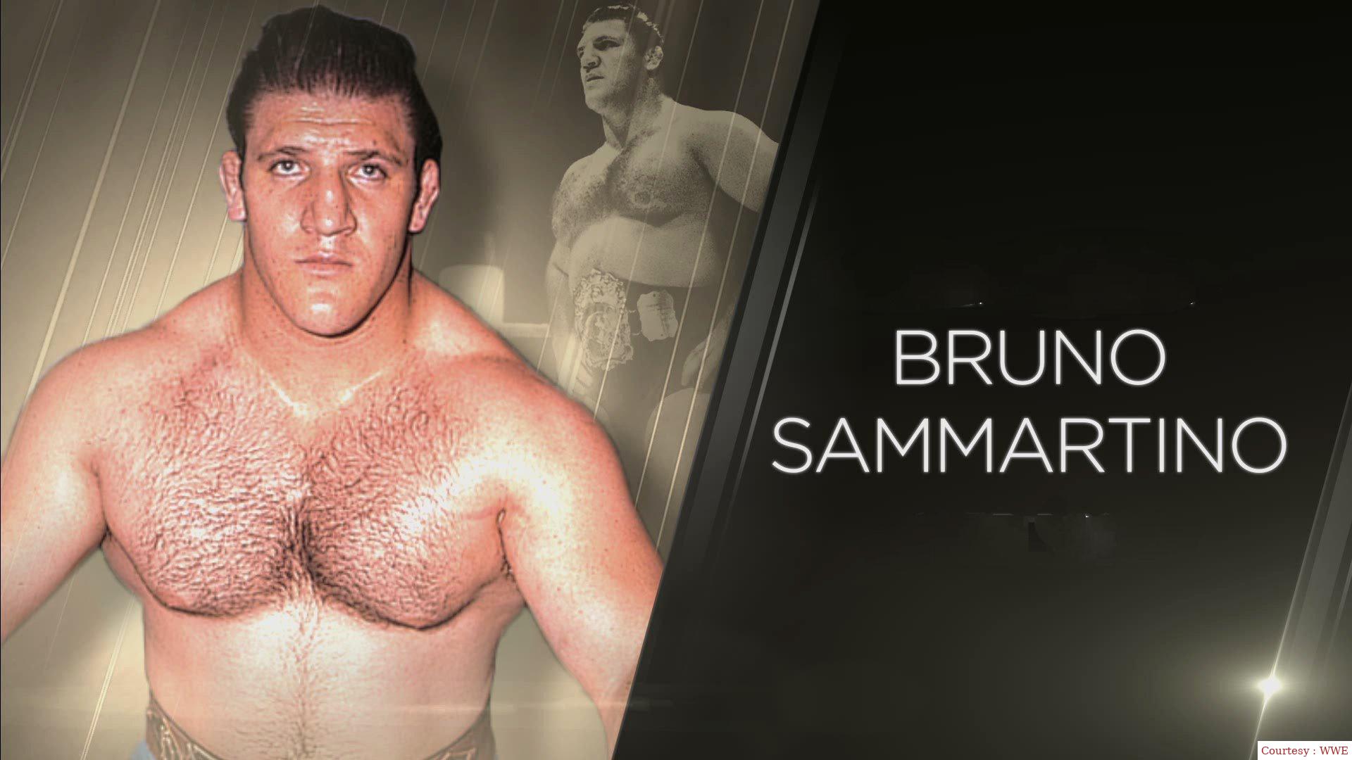 Bruno Sammartino