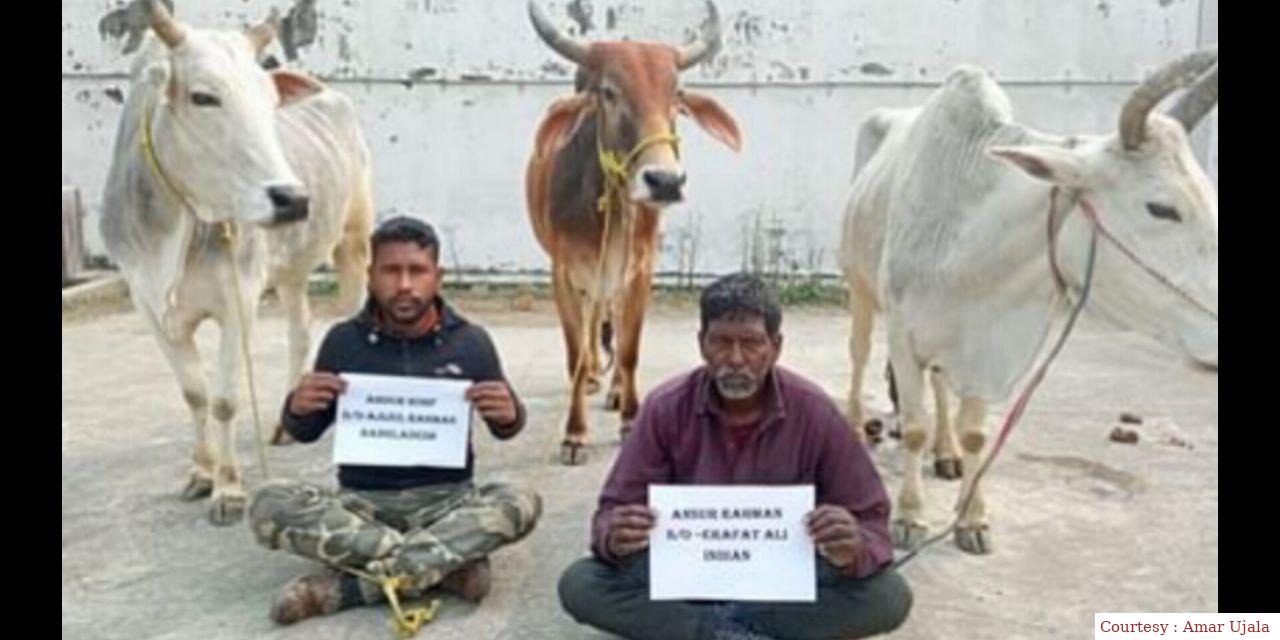 बीएसएफ जवानों द्वारा पशु तस्कर गिरफ्तार