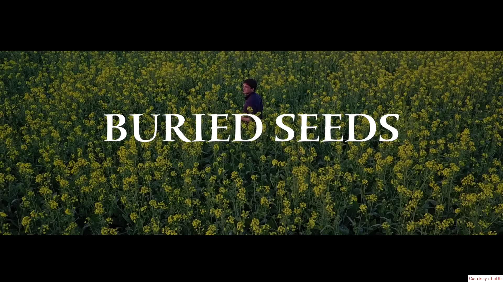 Buried Seeds 
