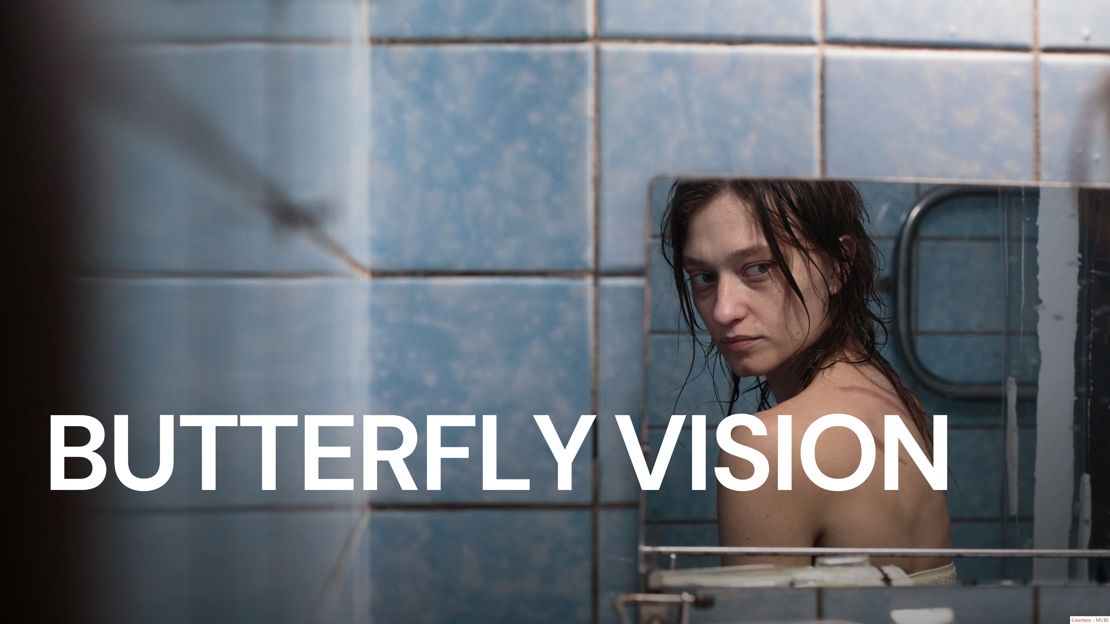 Butterfly Vision
