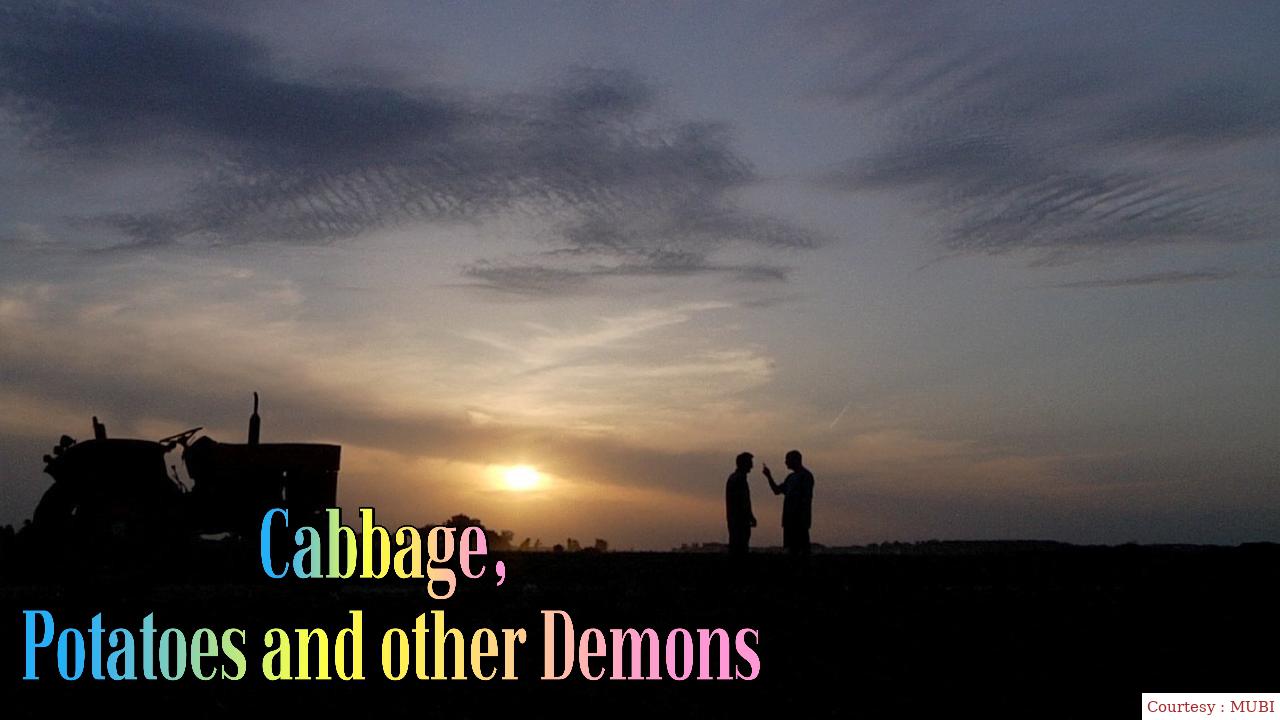 Cabbage, Potatoes and other Demons 