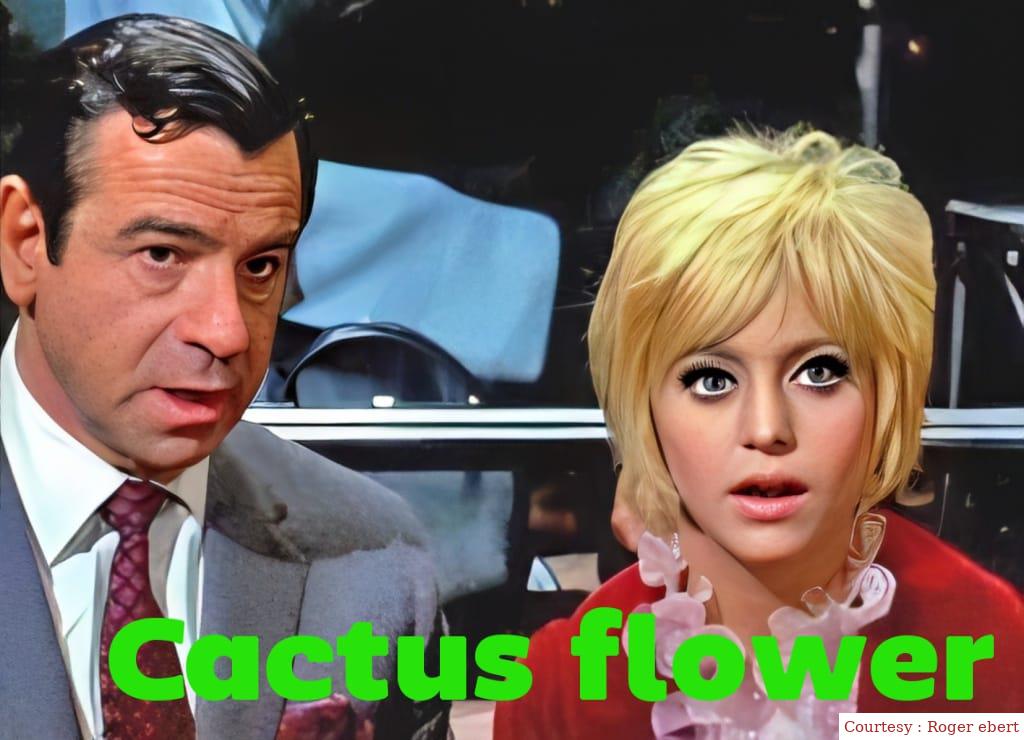Cactus Flower