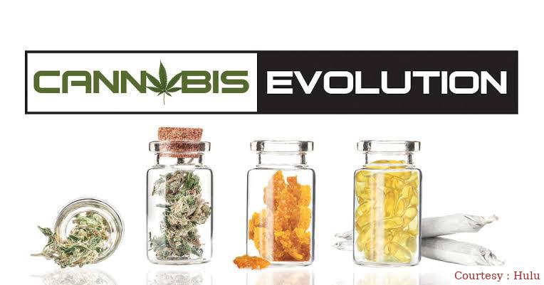 Watch Free  Cannabis Evolution Full Movie Online