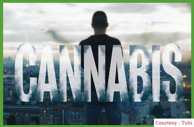 Cannabis 