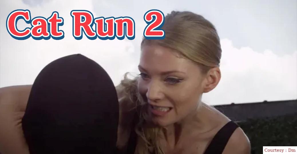 Cat Run 2
