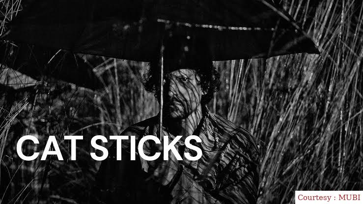 Watch Free  Cat Sticks Full Movie Online