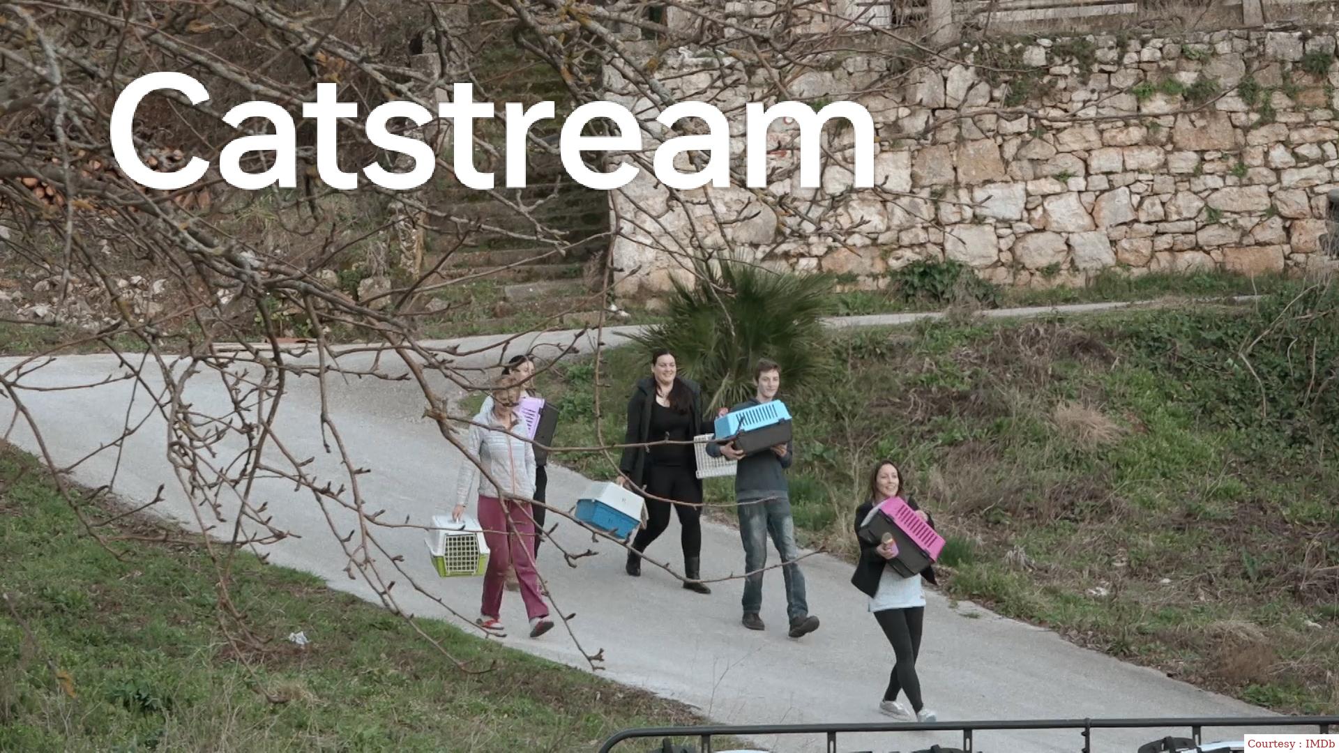 Watch Free  Catstream Full Movie Online