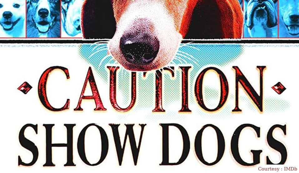 Caution: Show Dogs 