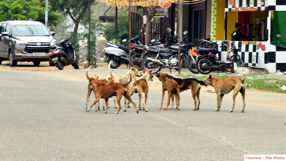 Centre to talk to State, LSGs an RWA to bring into effect new rules by AWBI