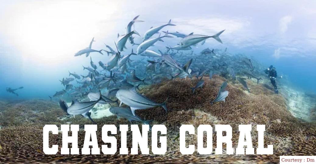 Chasing Coral
