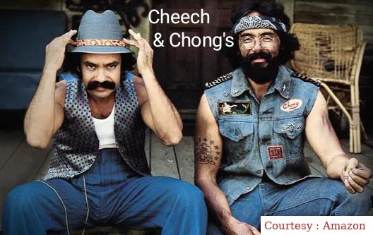 Cheech & Chong's Next Movie