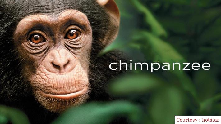 Watch Free  Chimpanzee Full Movie Online