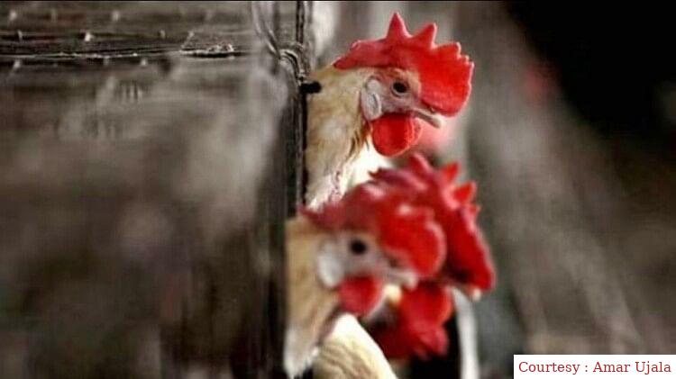 एच3एन8 से पहली मौत।