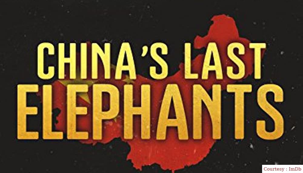 Watch Free  China's Last Elephants Full Movie Online
