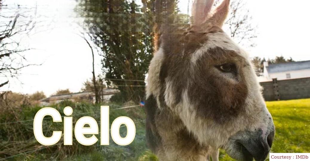 Watch Free  Cielo Full Movie Online