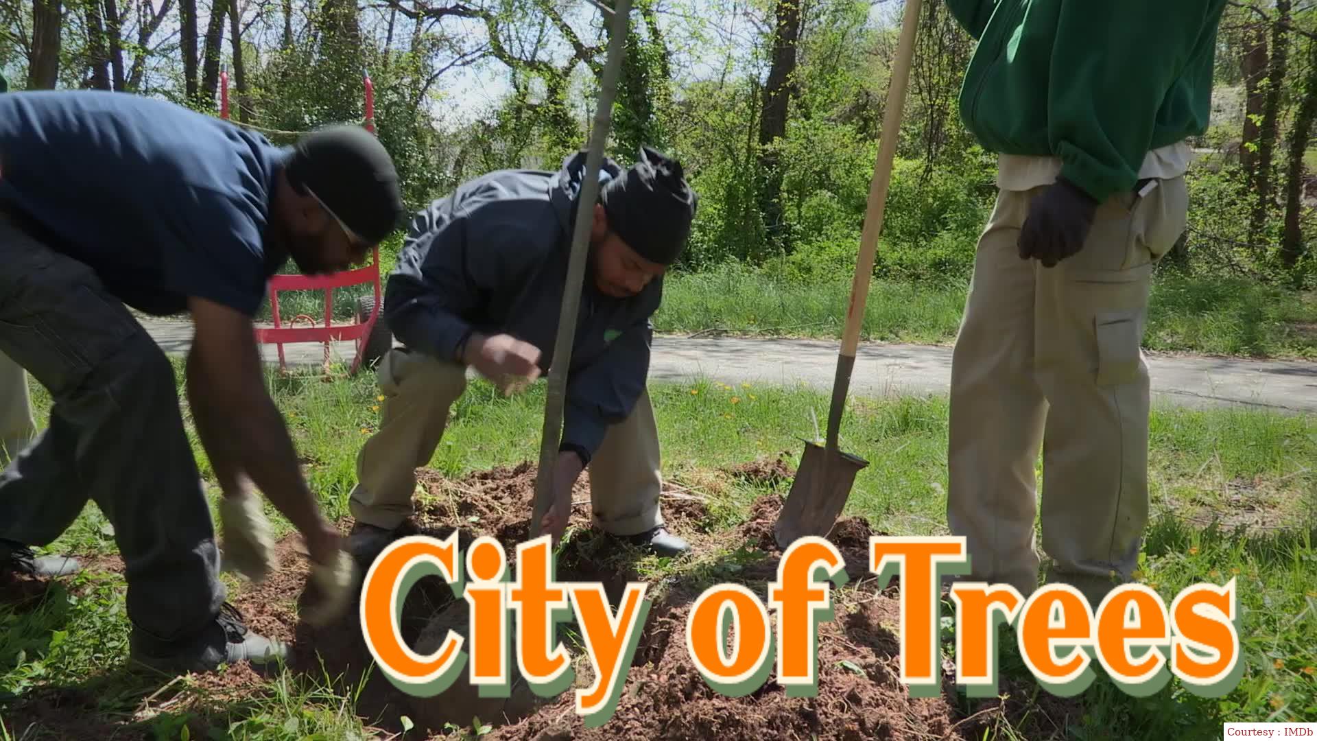 City of Trees