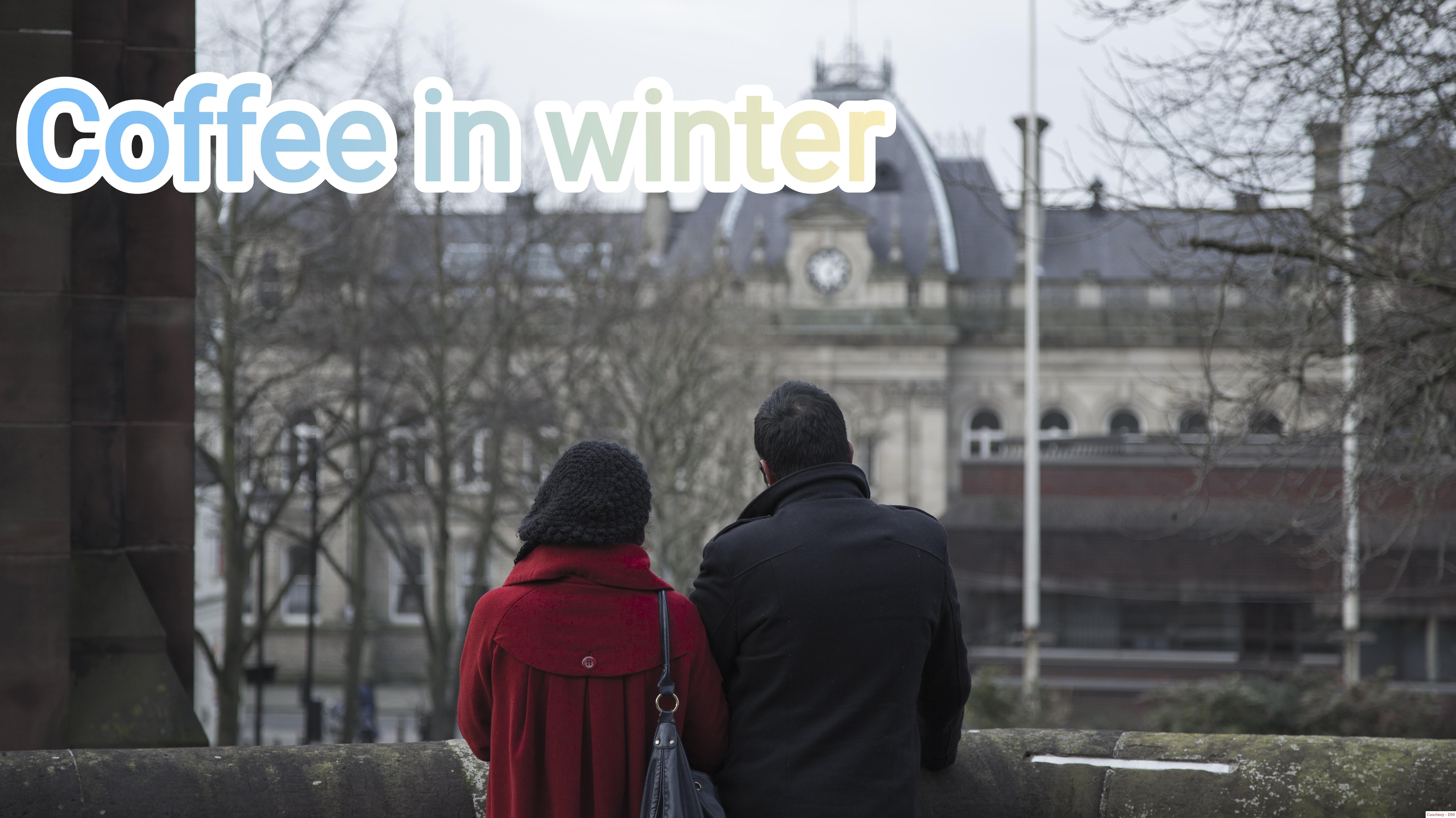 Watch Free  Coffee in Winter Full Movie Online