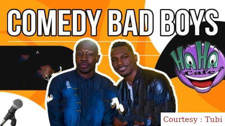 Watch Free Comedy Bad Boys 2020 Full Movie Online
