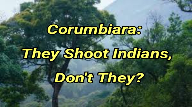Corumbiara: They Shoot Indians, Don't They?