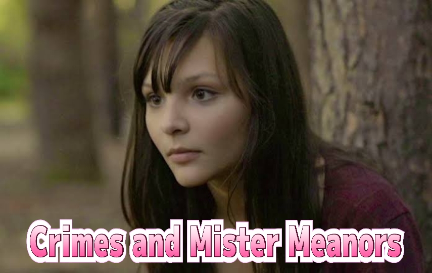 Watch Free Crimes and Mister Meanors Full Movie Online