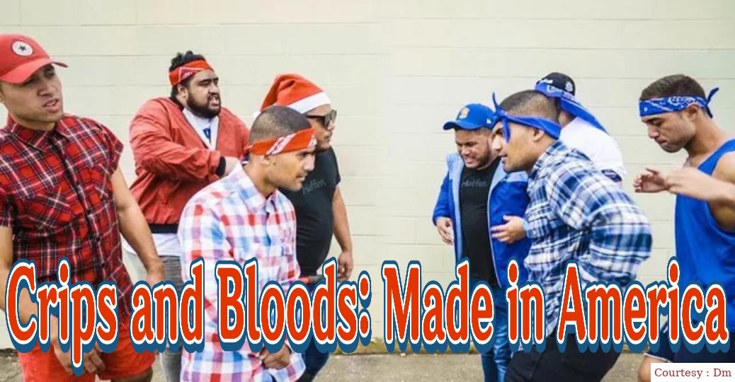 Crips and Bloods: Made in America